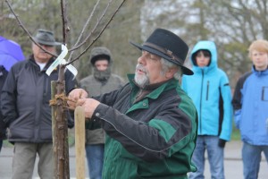 Tag=20des=20Baumes=202012=20049