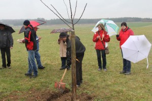 Tag=20des=20Baumes=202012=20059