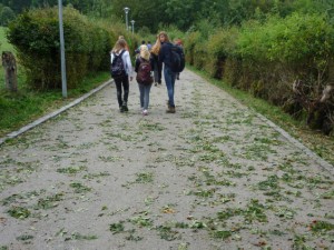 P1100838 bearbeitet-1