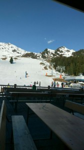 aviary-image-1491928831508