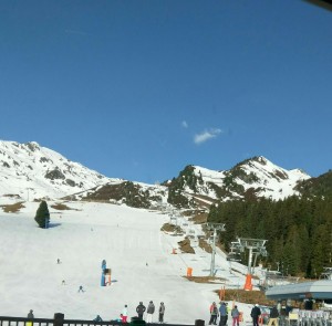 aviary-image-1491928856172