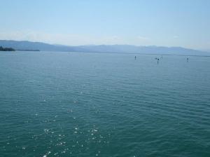 Seniorenausflug  nach Bregenz 7.2017 020