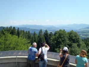 Seniorenausflug  nach Bregenz 7.2017 046