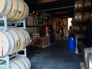 Seniorenausflug  nach Bregenz 7.2017 063