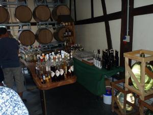 Seniorenausflug  nach Bregenz 7.2017 073