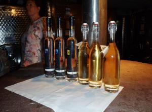 Seniorenausflug  nach Bregenz 7.2017 076