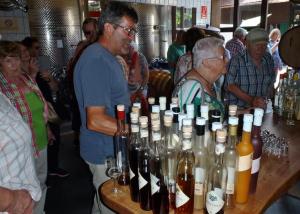 Seniorenausflug  nach Bregenz 7.2017 084