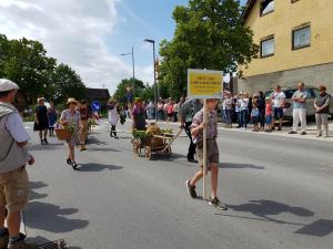 Bilder vom Festumzug (11) (1)