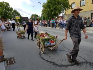 Bilder vom Festumzug (26) (1)