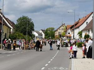 Bilder vom Festumzug (3) (1)
