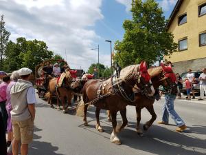Bilder vom Festumzug (4)