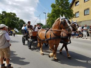 Bilder vom Festumzug (6) (1)