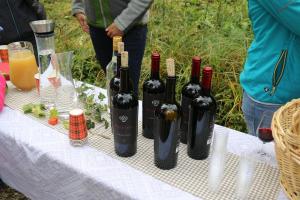 SAV Kulinarische Wanderung 165